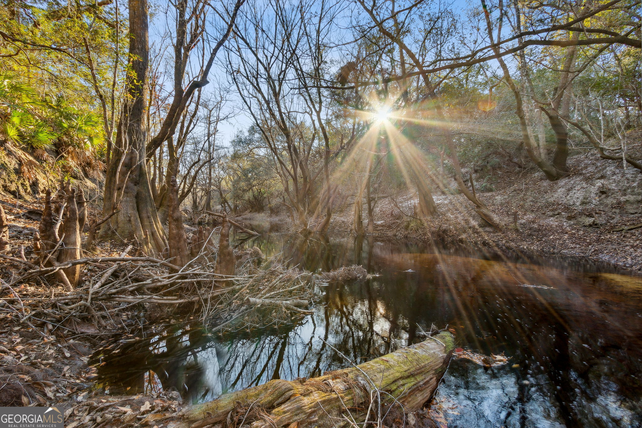 0 State Road 185 St. George, GA 31562 - Photo 15 of 62