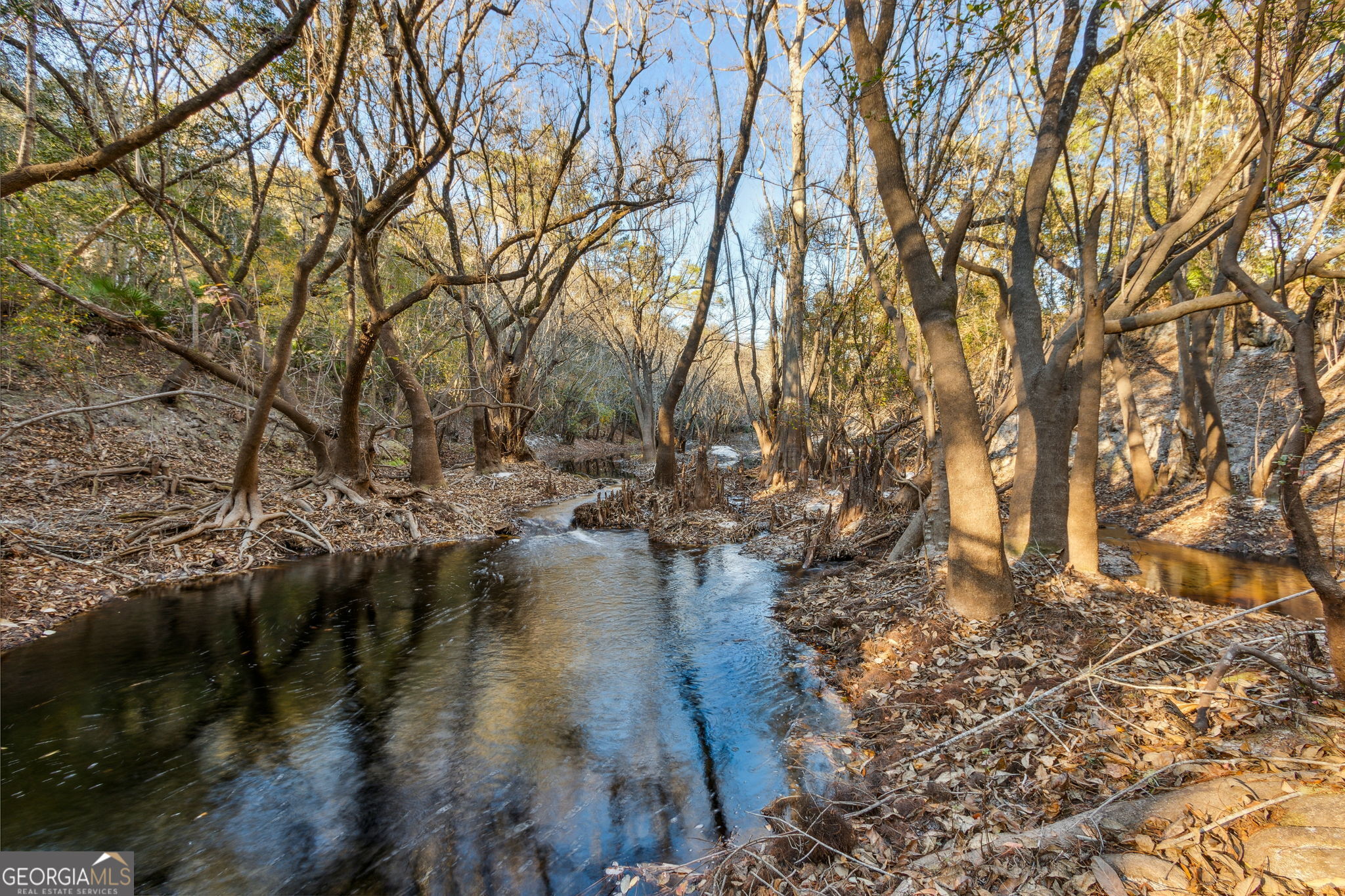 0 State Road 185 St. George, GA 31562 - Photo 16 of 62
