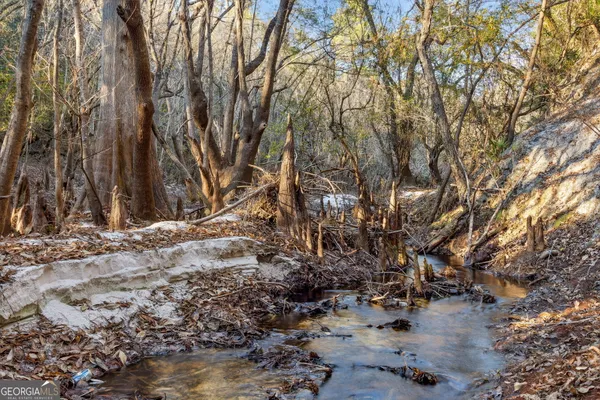 $425,000 | 0 State Road 185, St. George, GA 31562