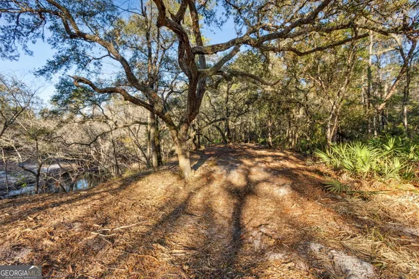 $425,000 | 0 State Road 185, St. George, GA 31562