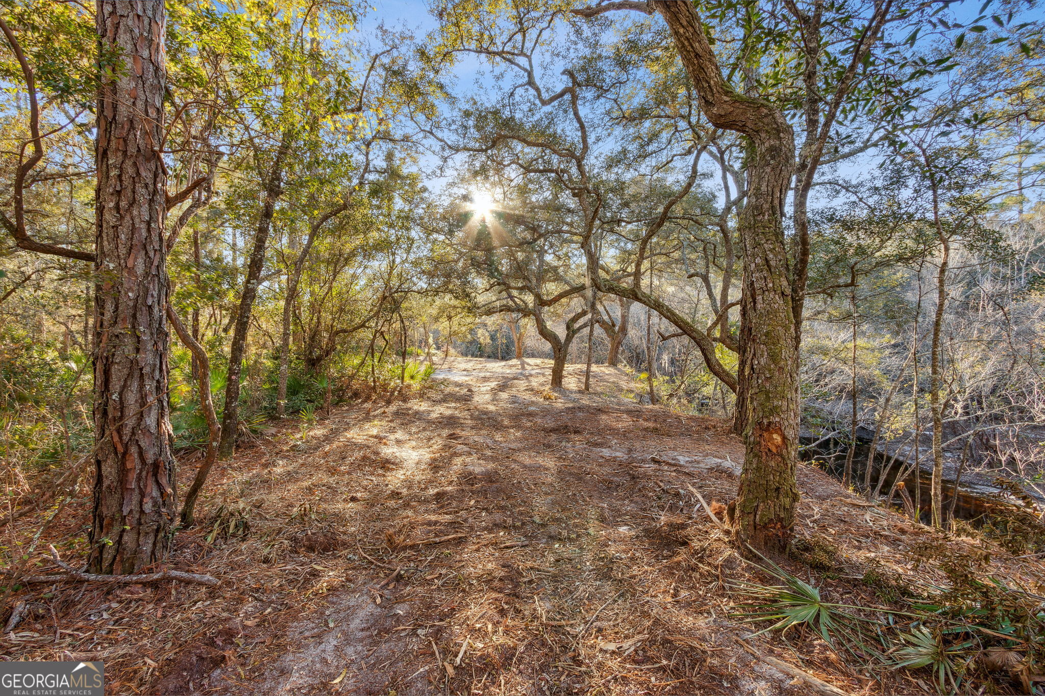 0 State Road 185 St. George, GA 31562 - Photo 19 of 62