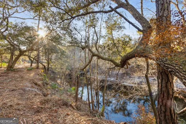 $425,000 | 0 State Road 185, St. George, GA 31562