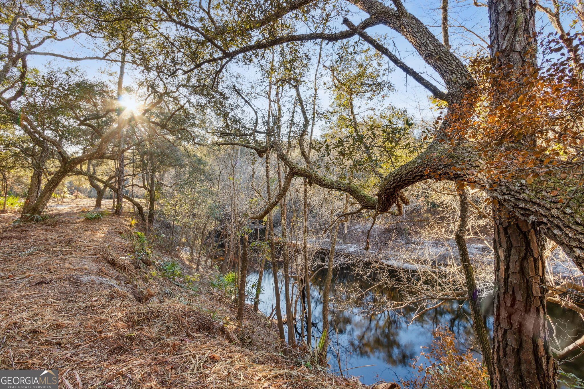 0 State Road 185 St. George, GA 31562 - Photo 20 of 62