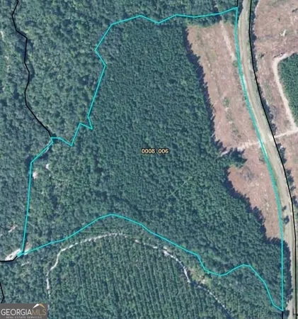 $425,000 | 0 State Road 185, St. George, GA 31562