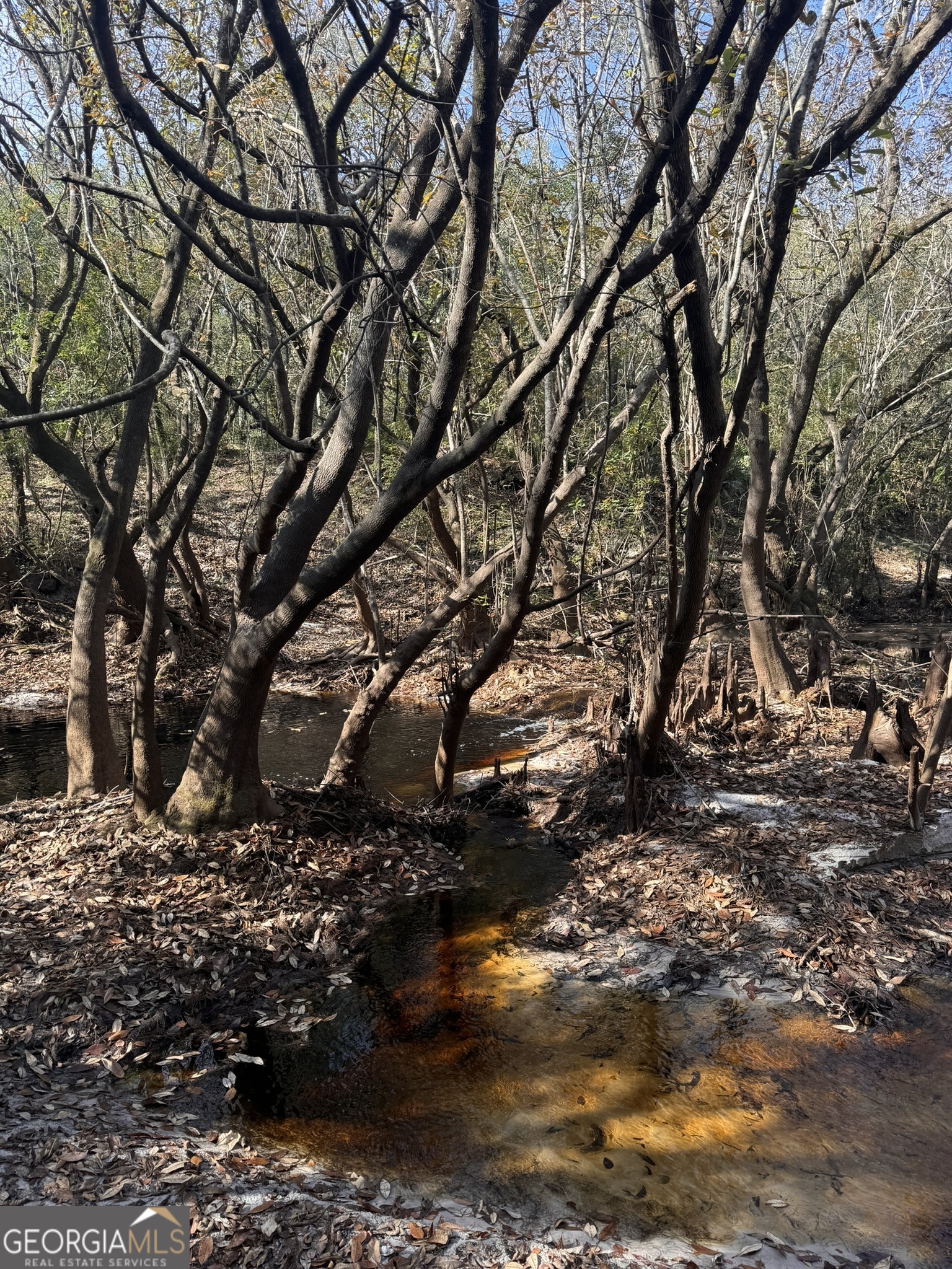 0 State Road 185 St. George, GA 31562 - Photo 21 of 62