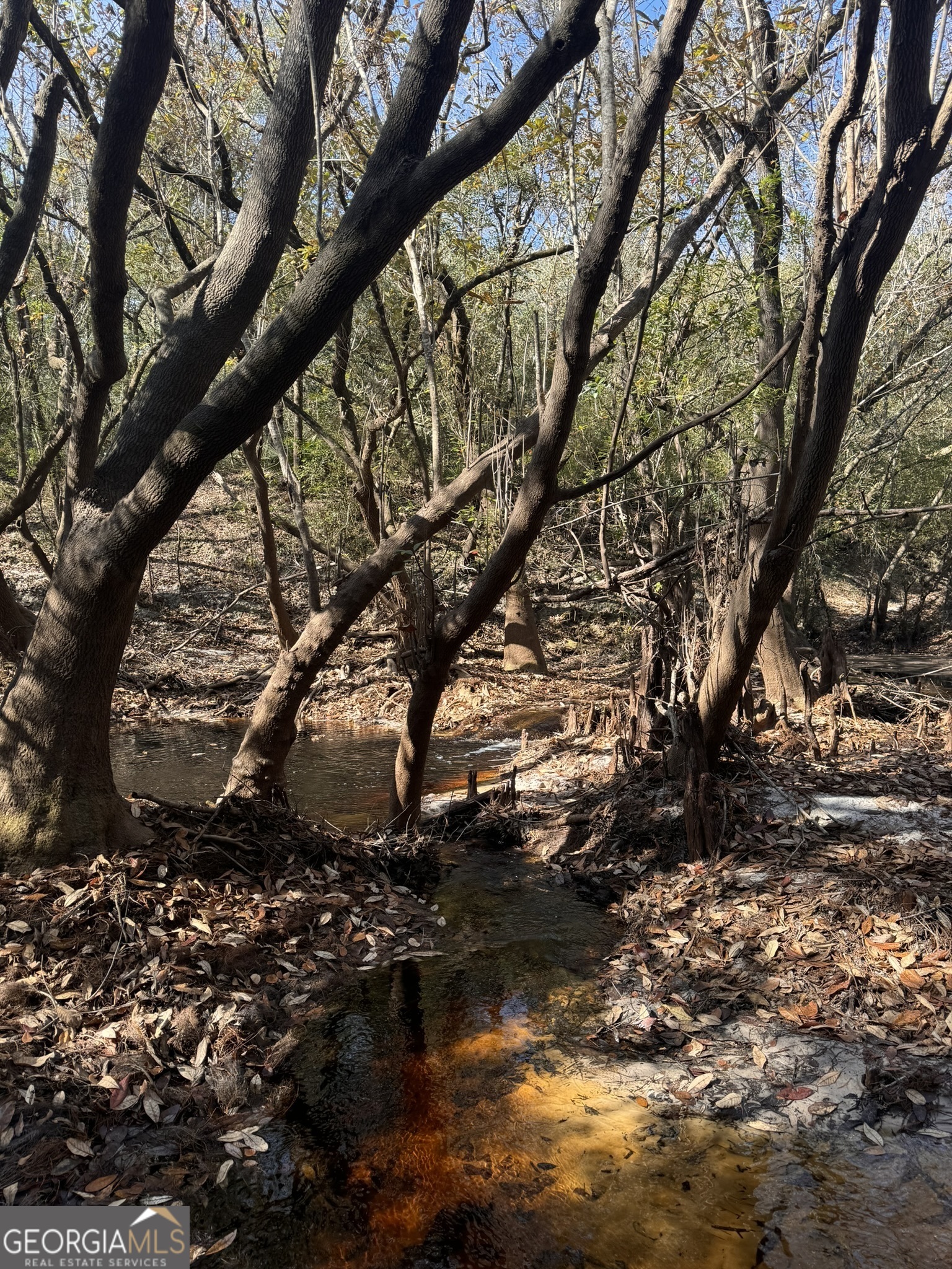 0 State Road 185 St. George, GA 31562 - Photo 22 of 62