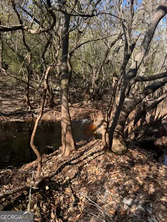 $425,000 | 0 State Road 185, St. George, GA 31562