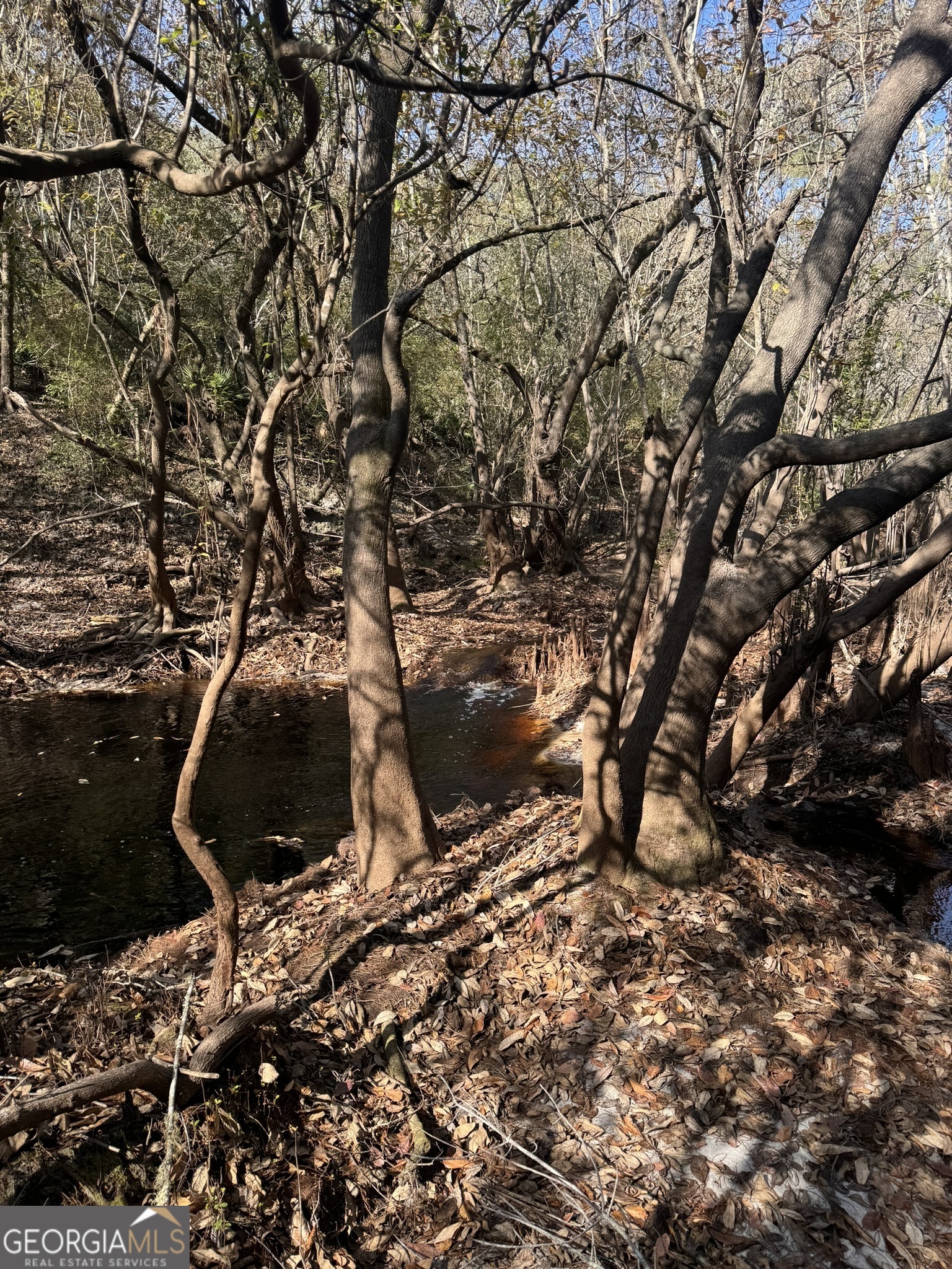 0 State Road 185 St. George, GA 31562 - Photo 23 of 62