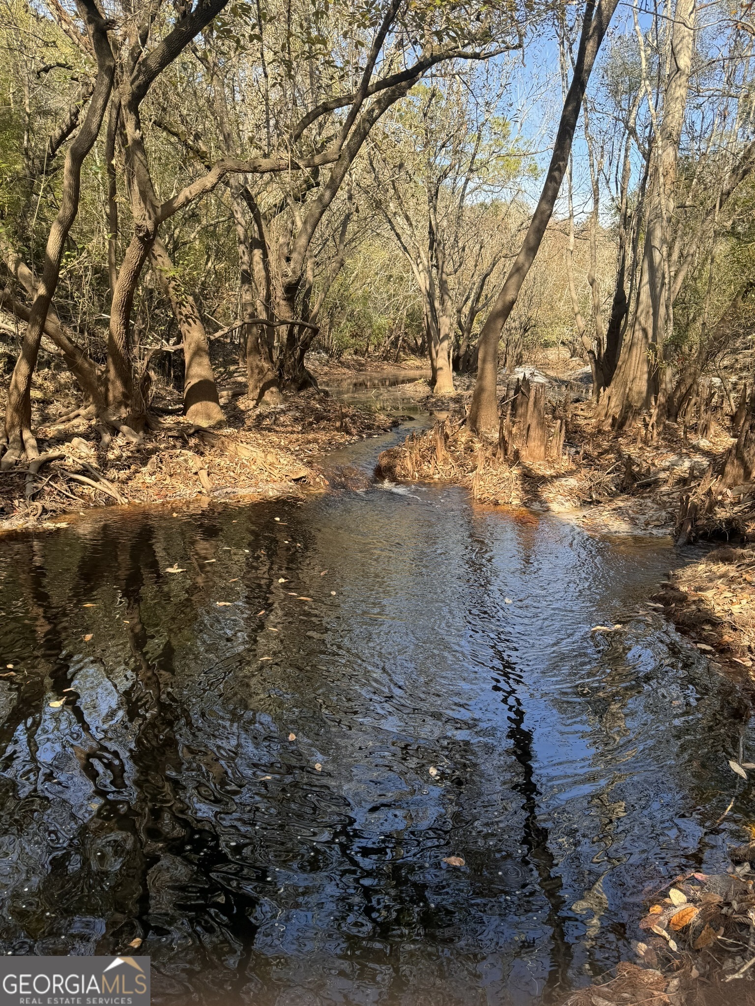 0 State Road 185 St. George, GA 31562 - Photo 24 of 62