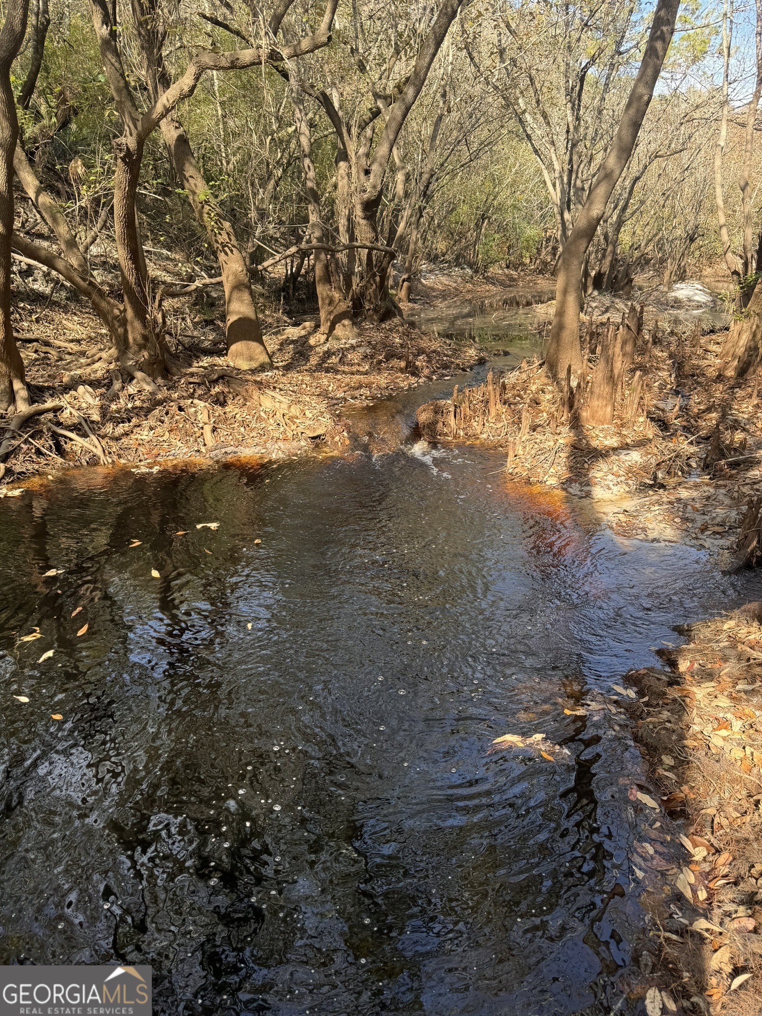0 State Road 185 St. George, GA 31562 - Photo 25 of 62
