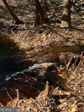 $425,000 | 0 State Road 185, St. George, GA 31562