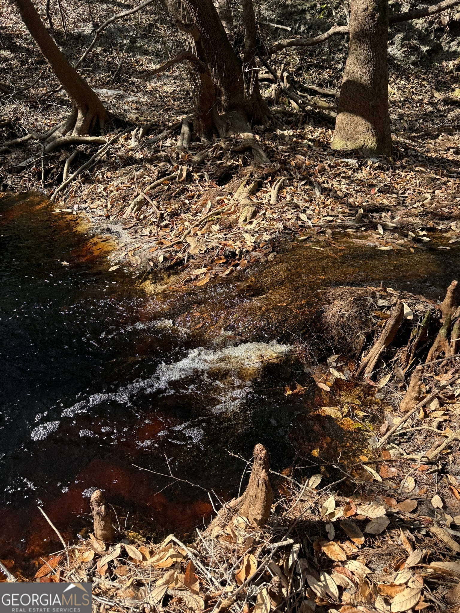 0 State Road 185 St. George, GA 31562 - Photo 26 of 62