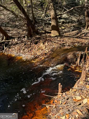 $425,000 | 0 State Road 185, St. George, GA 31562