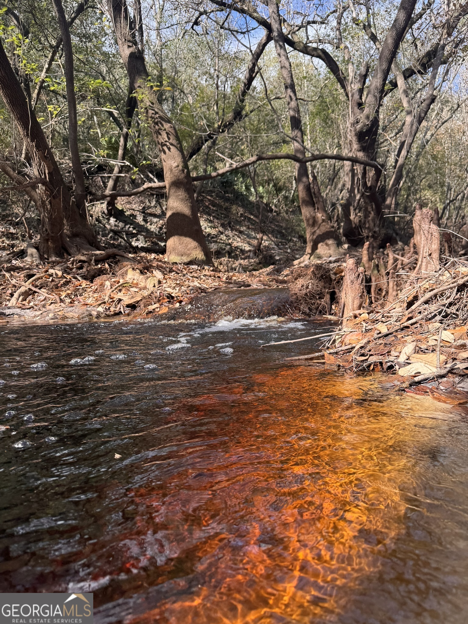 0 State Road 185 St. George, GA 31562 - Photo 28 of 62