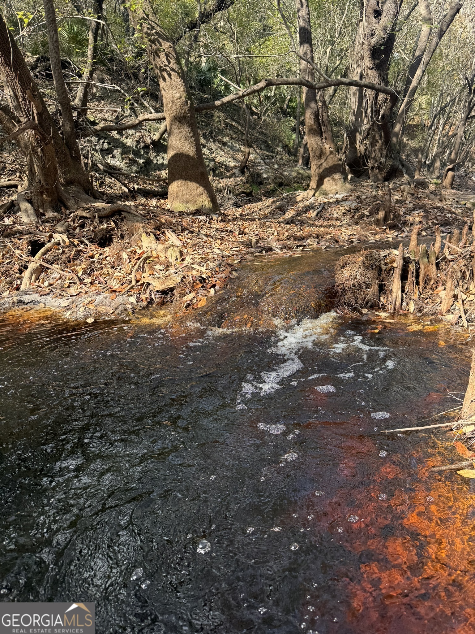 0 State Road 185 St. George, GA 31562 - Photo 29 of 62