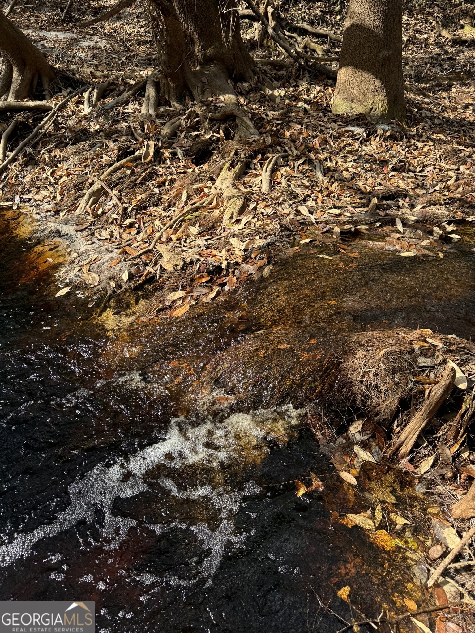 0 State Road 185 St. George, GA 31562 - Photo 30 of 62