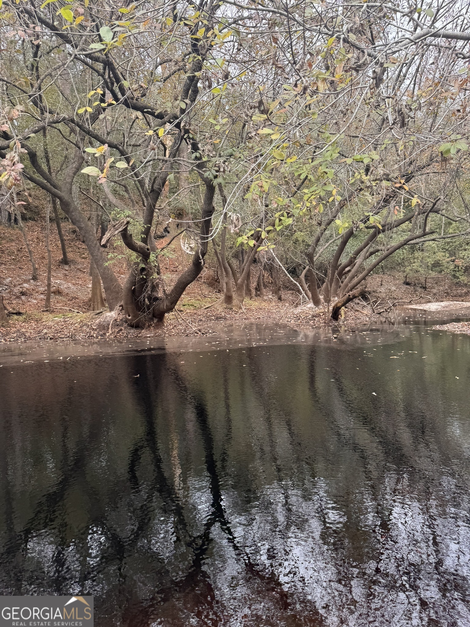 0 State Road 185 St. George, GA 31562 - Photo 3 of 62