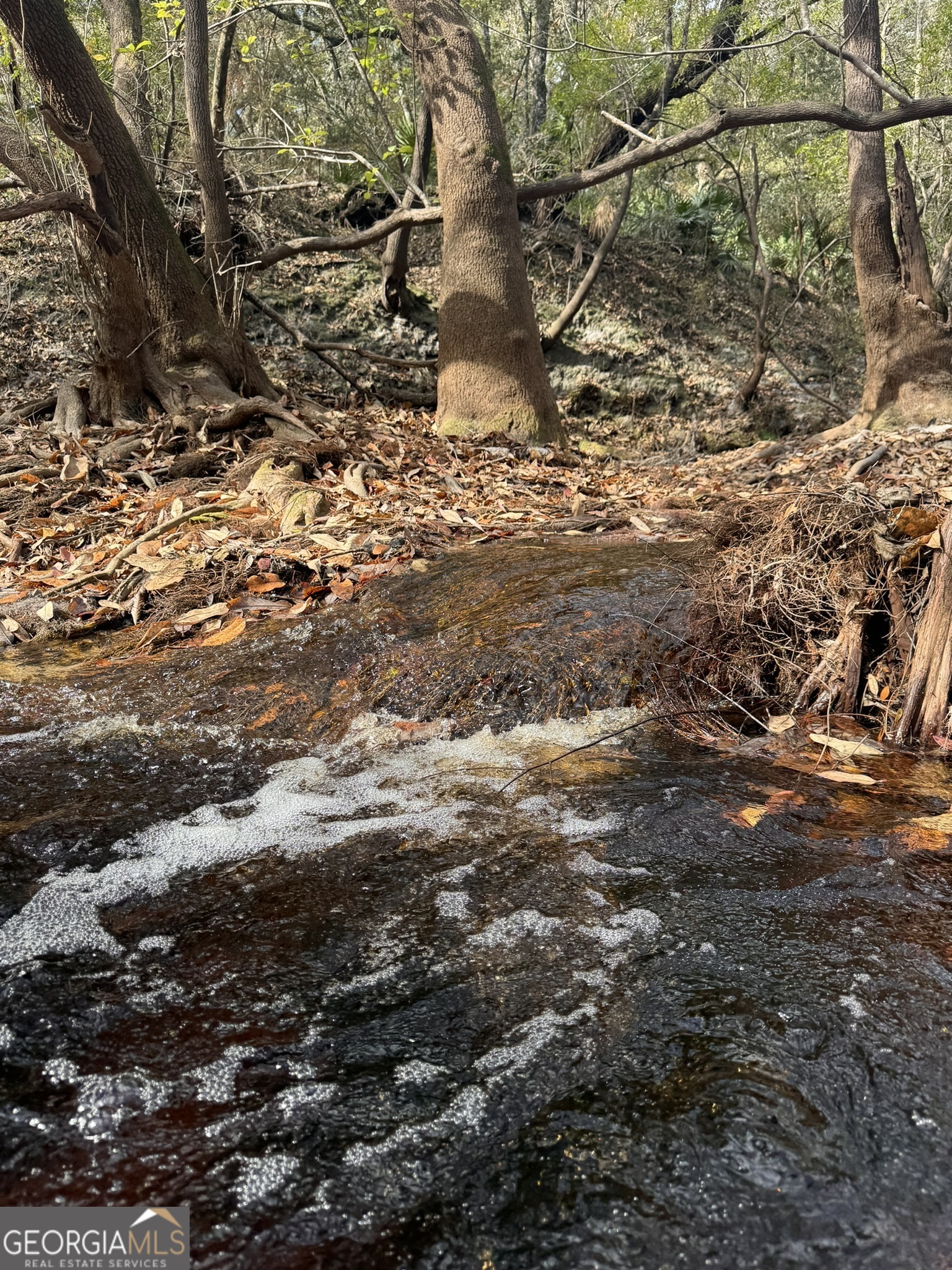 0 State Road 185 St. George, GA 31562 - Photo 31 of 62