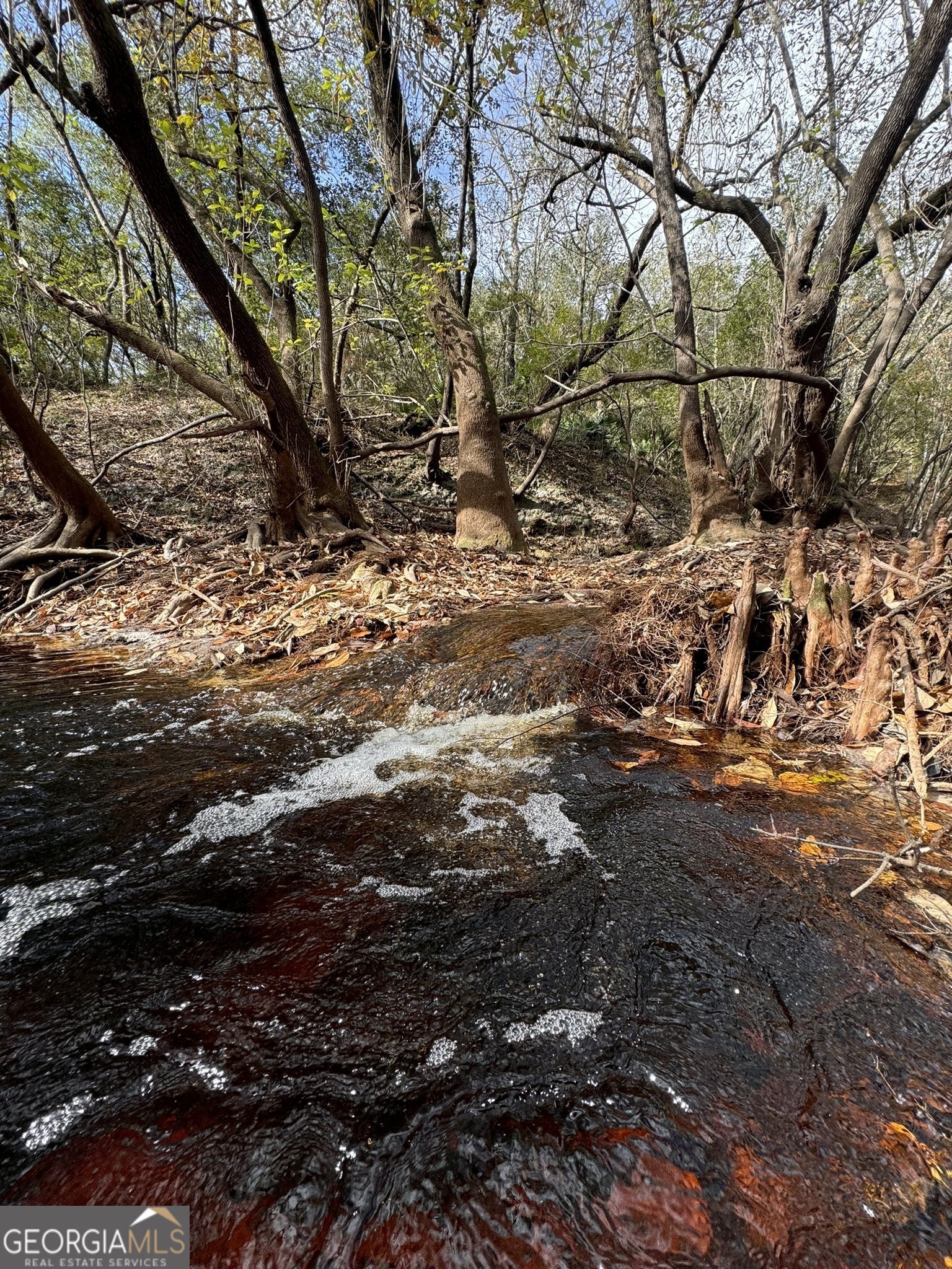 0 State Road 185 St. George, GA 31562 - Photo 32 of 62