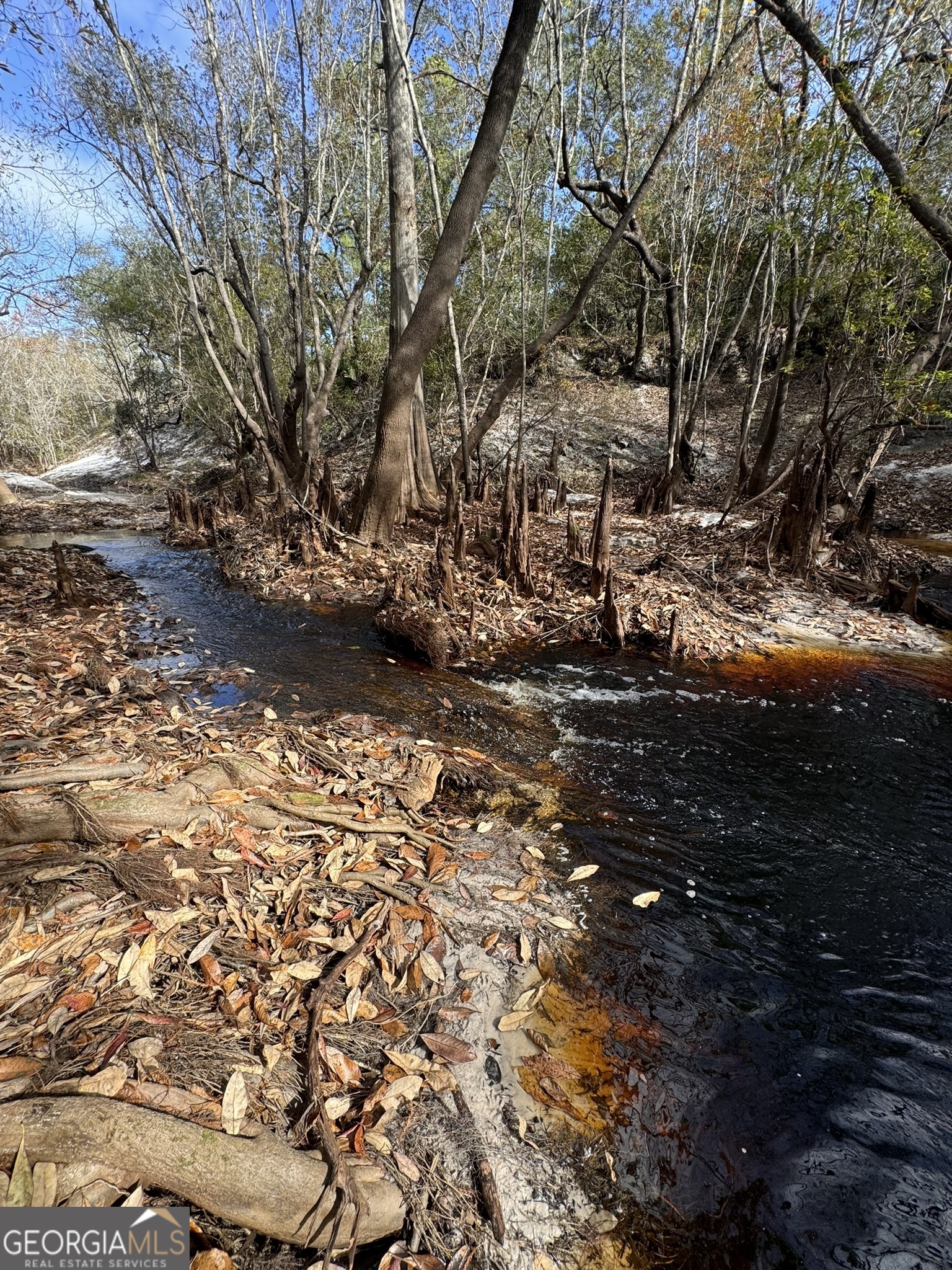 0 State Road 185 St. George, GA 31562 - Photo 33 of 62