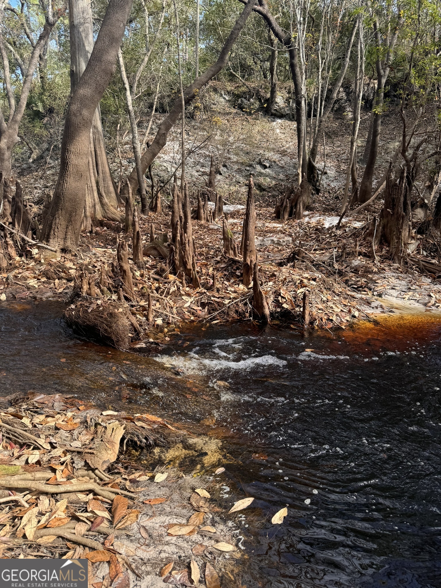 0 State Road 185 St. George, GA 31562 - Photo 34 of 62