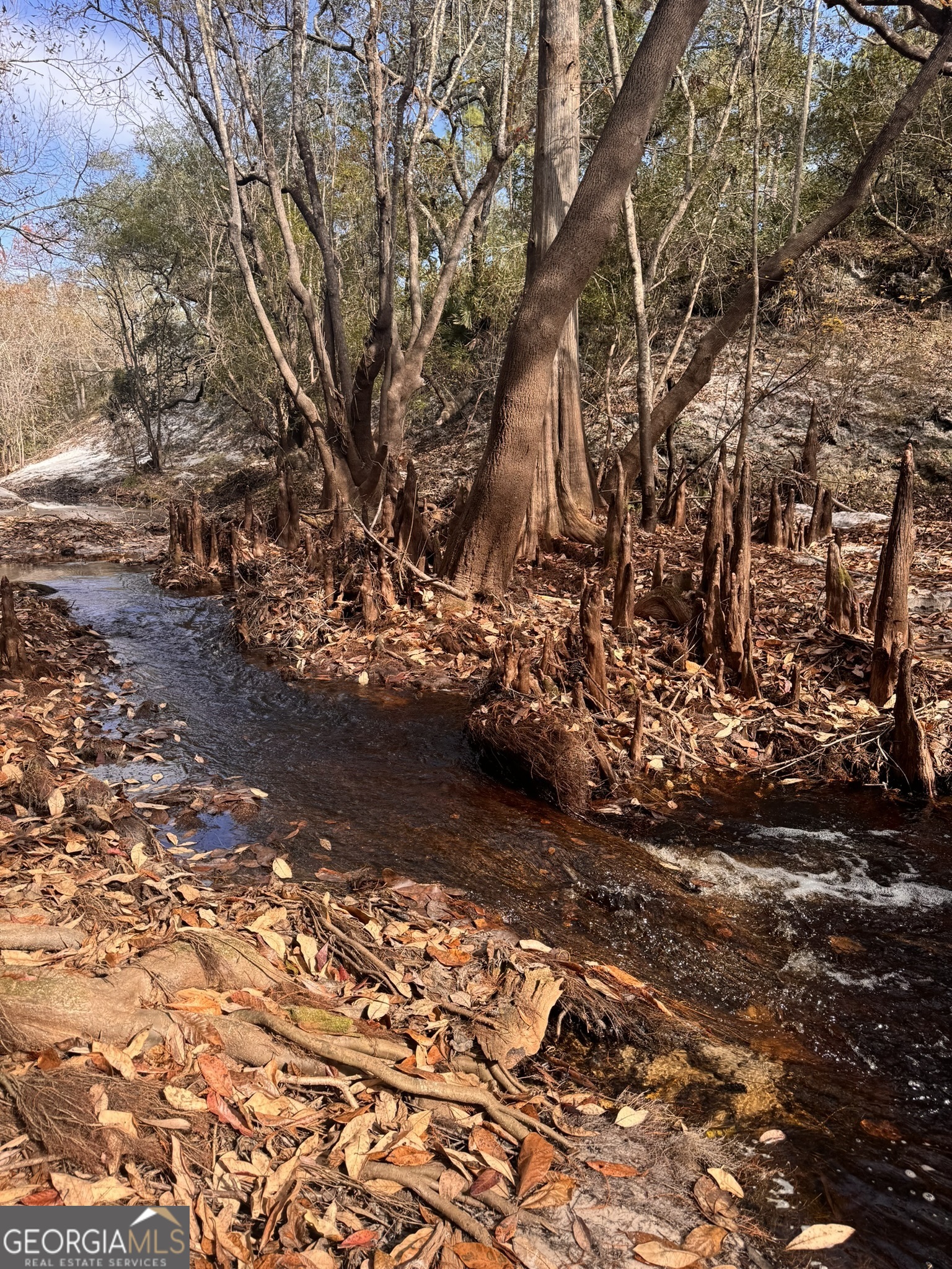 0 State Road 185 St. George, GA 31562 - Photo 35 of 62