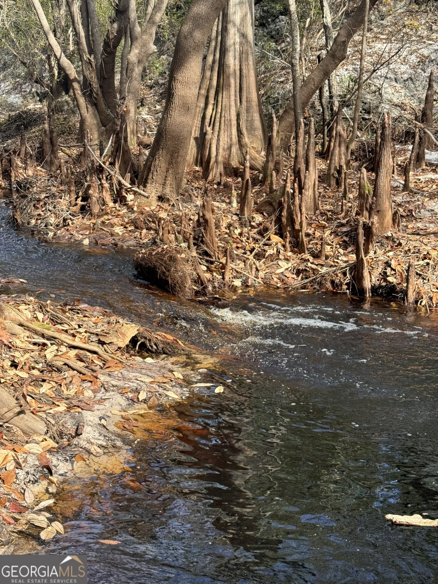 0 State Road 185 St. George, GA 31562 - Photo 36 of 62