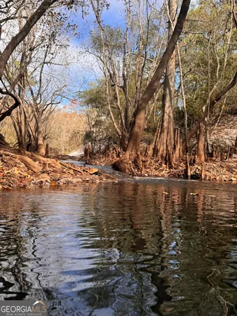 $425,000 | 0 State Road 185, St. George, GA 31562