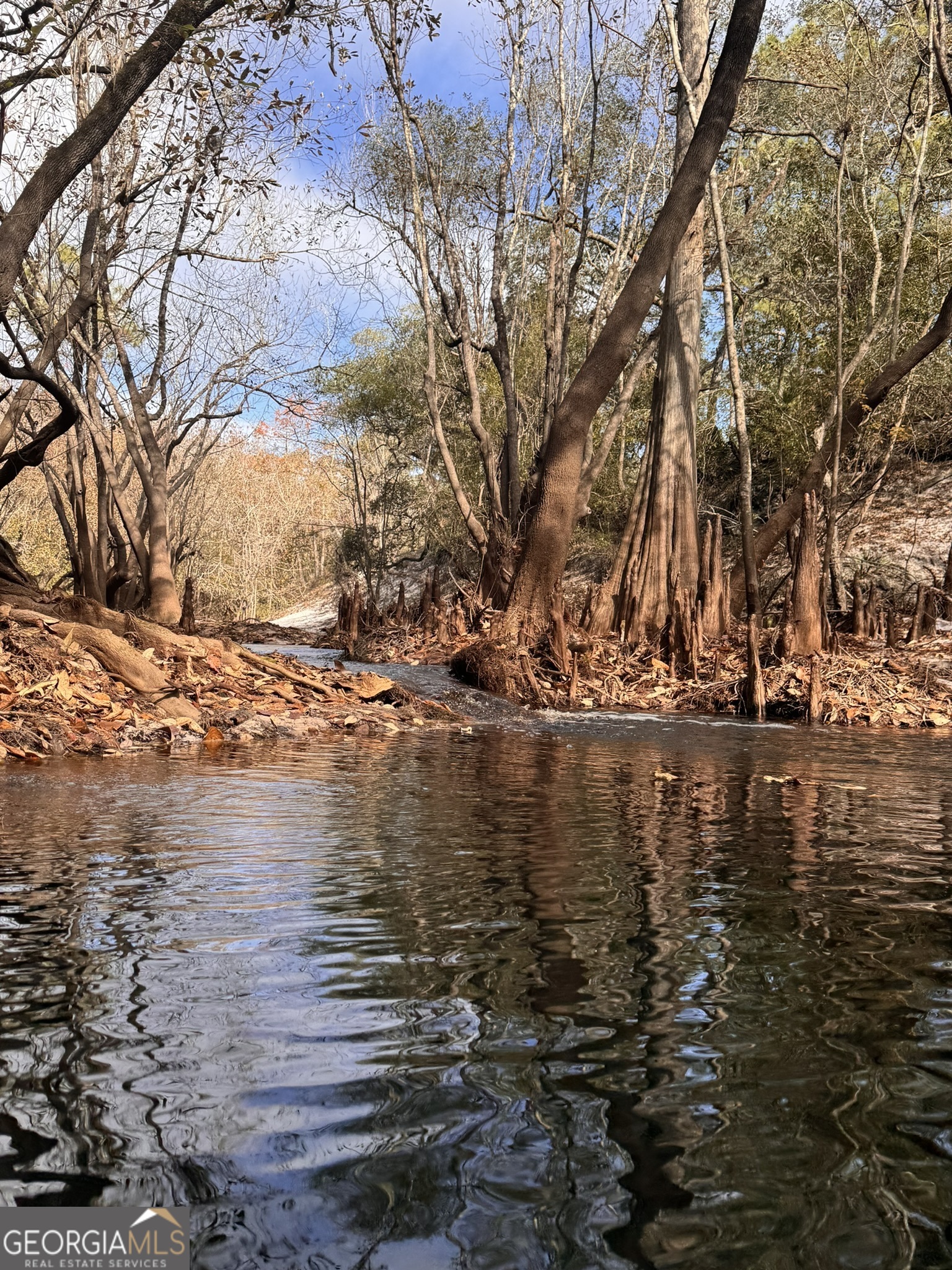 0 State Road 185 St. George, GA 31562 - Photo 37 of 62