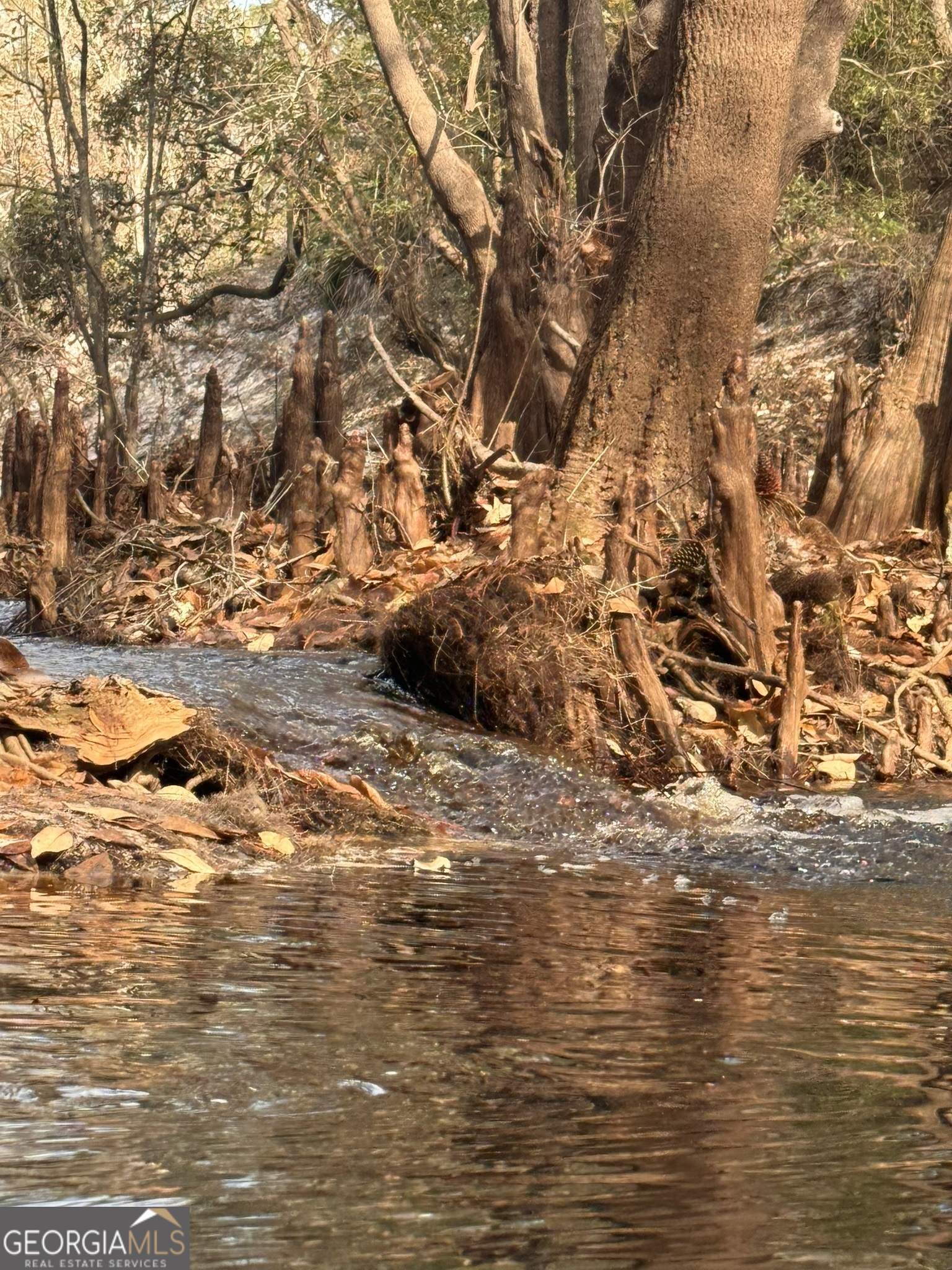 0 State Road 185 St. George, GA 31562 - Photo 38 of 62
