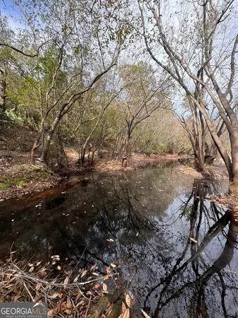 $425,000 | 0 State Road 185, St. George, GA 31562