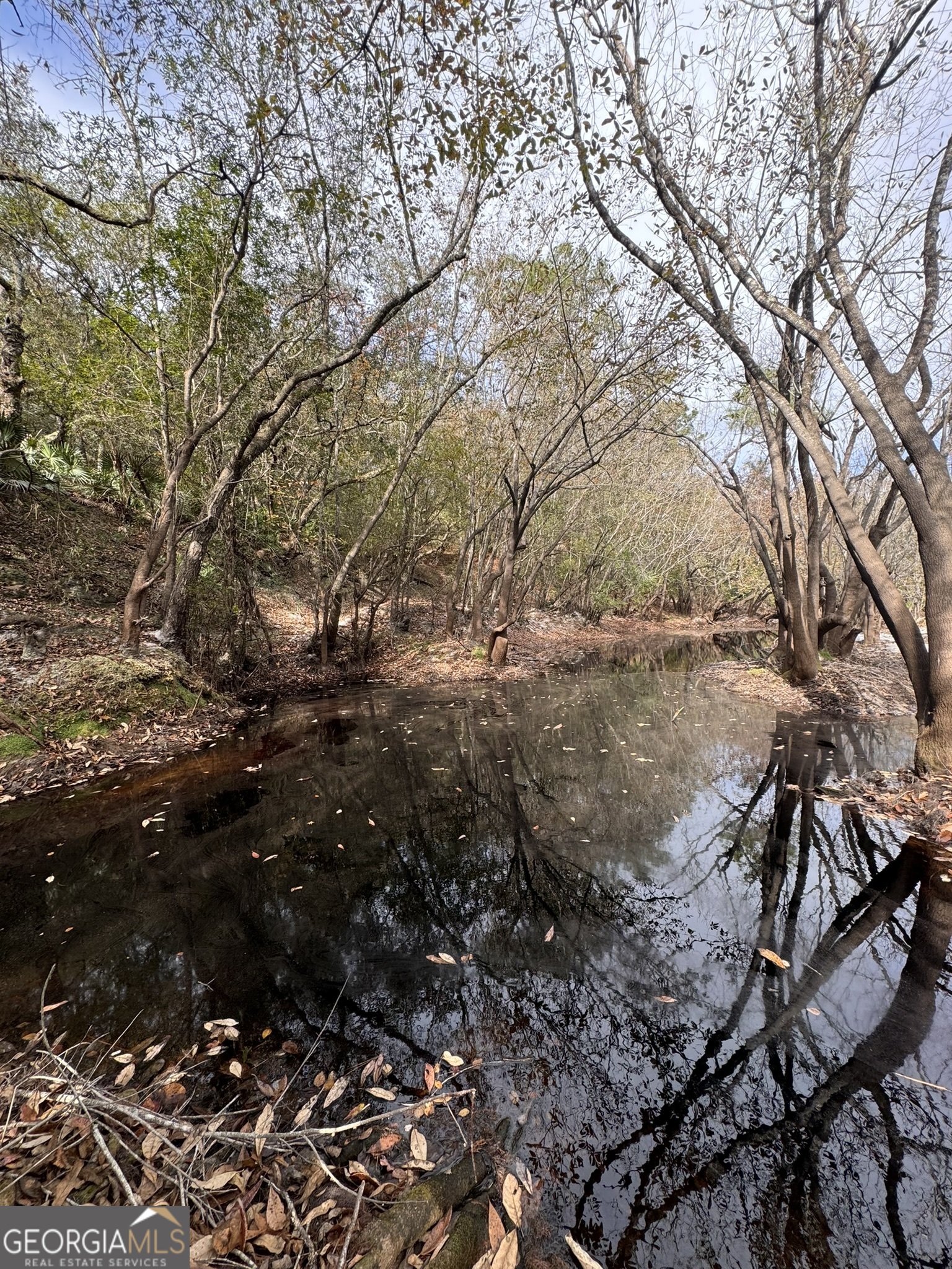 0 State Road 185 St. George, GA 31562 - Photo 39 of 62