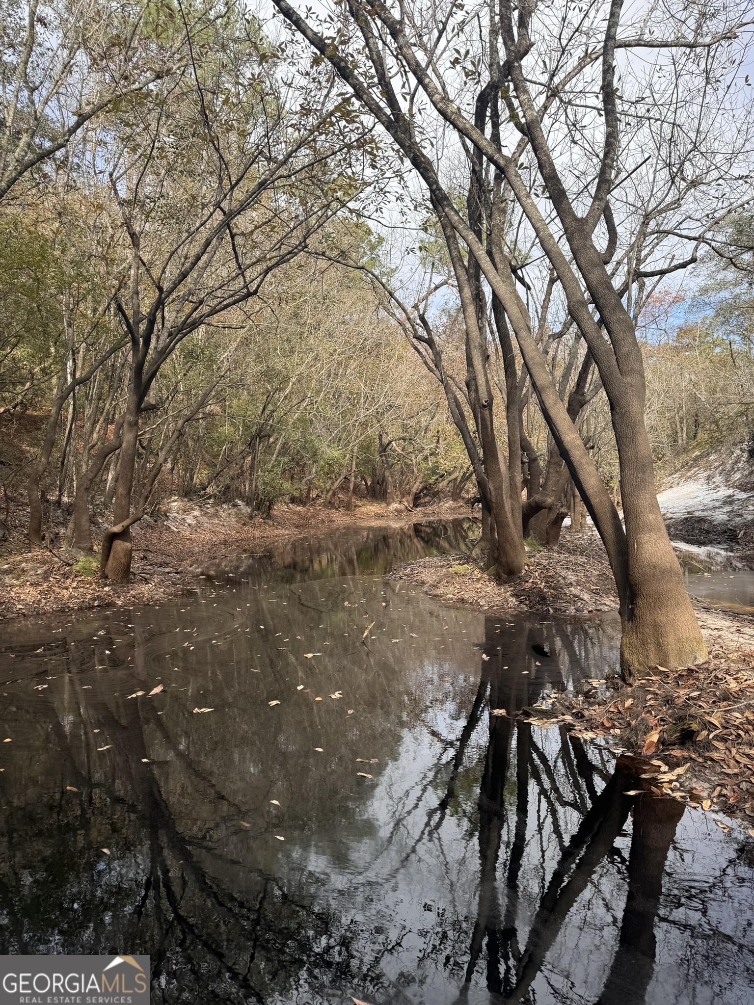 0 State Road 185 St. George, GA 31562 - Photo 40 of 62