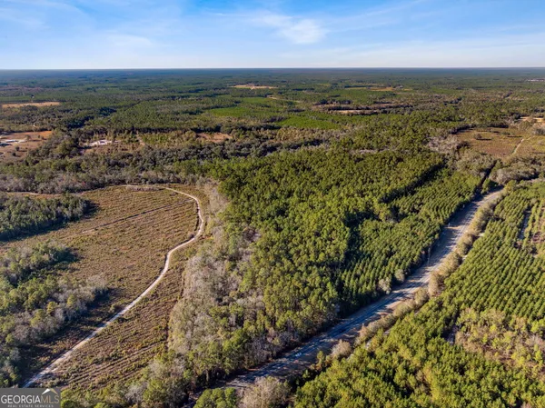 $425,000 | 0 State Road 185, St. George, GA 31562