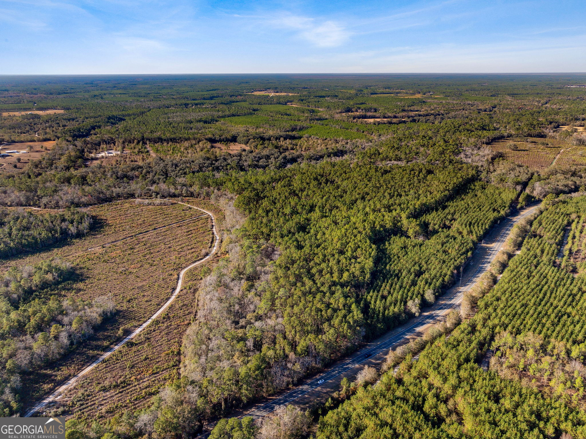 0 State Road 185 St. George, GA 31562 - Photo 4 of 62