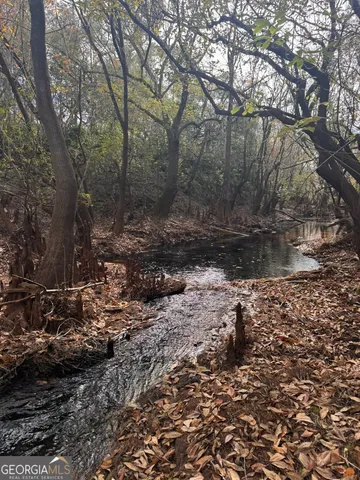 $450,000 | 0 State Road 185, St. George, GA 31562