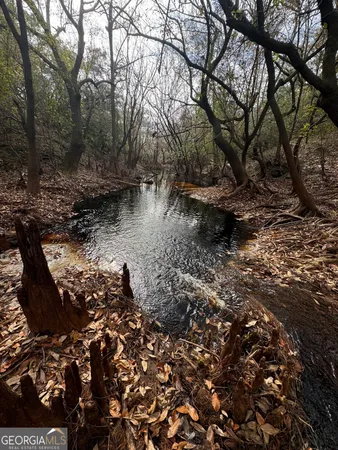 $425,000 | 0 State Road 185, St. George, GA 31562