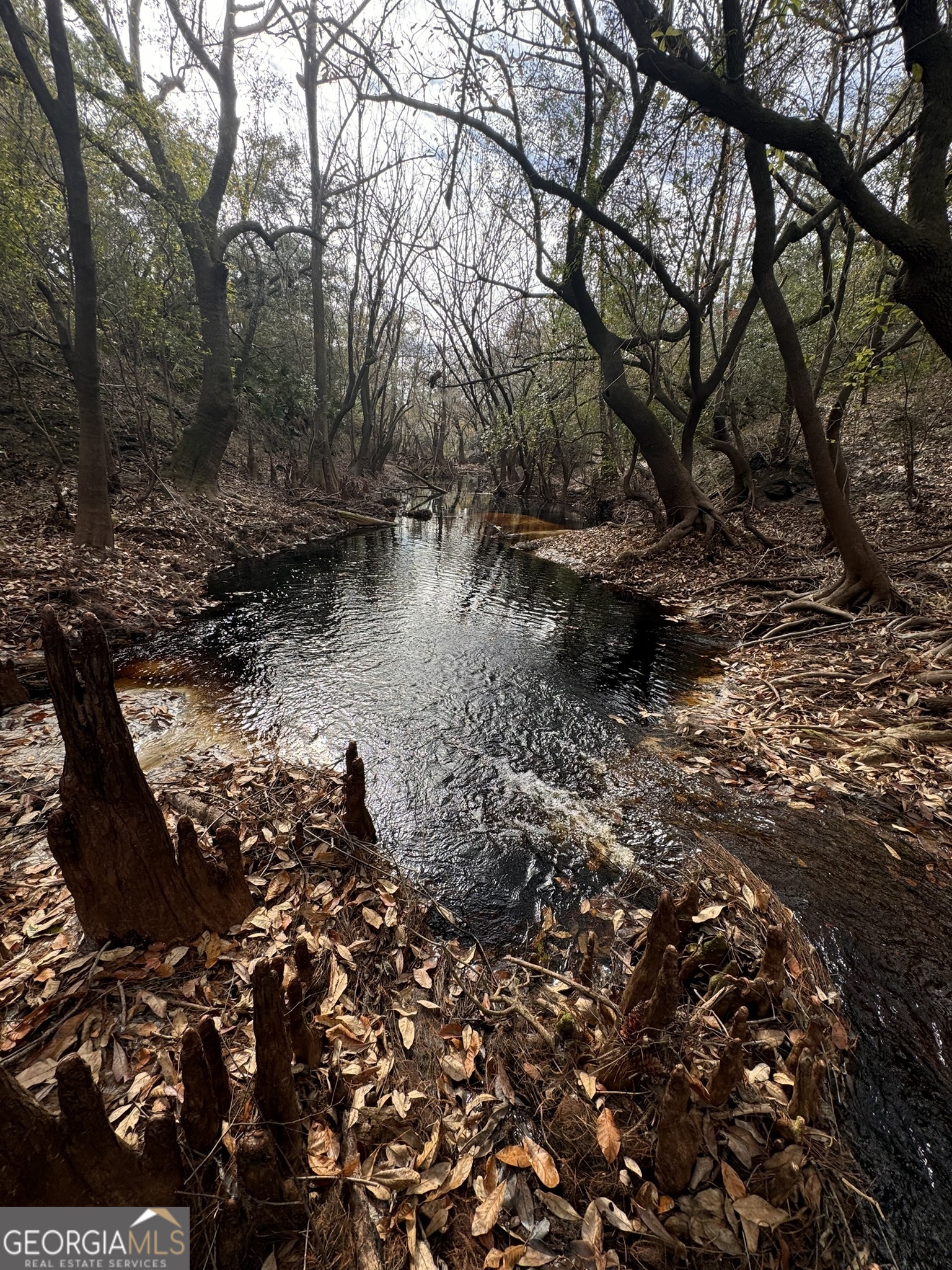 0 State Road 185 St. George, GA 31562 - Photo 42 of 62