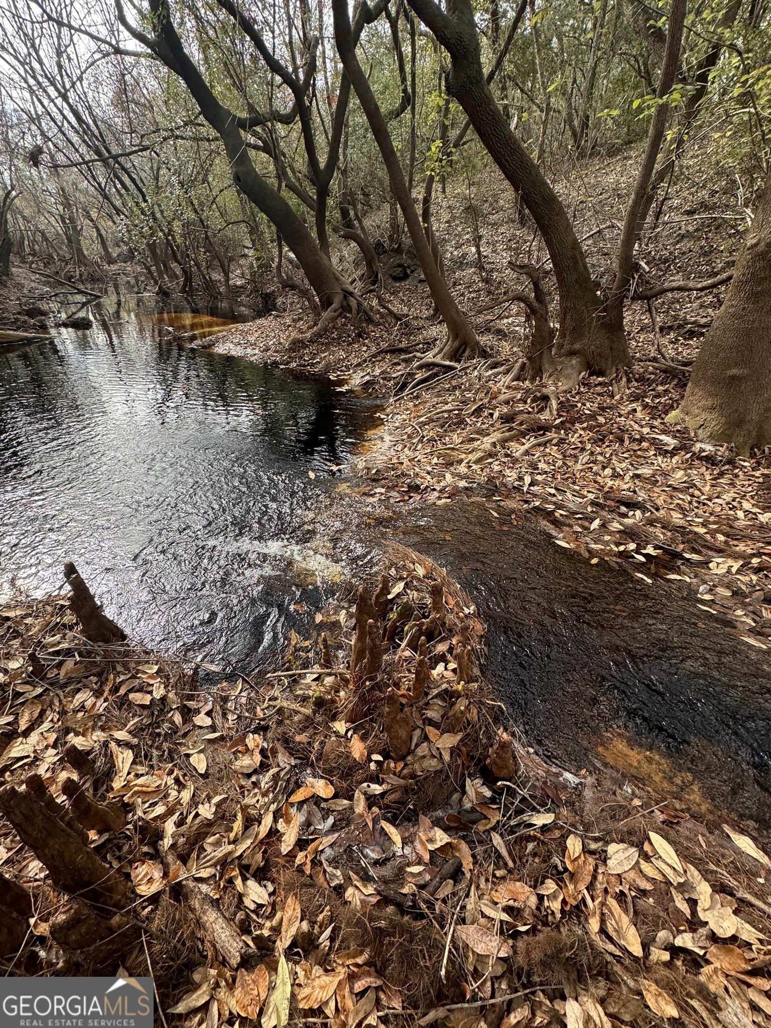 0 State Road 185 St. George, GA 31562 - Photo 43 of 62