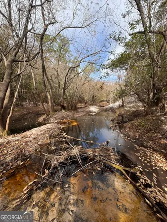 $425,000 | 0 State Road 185, St. George, GA 31562