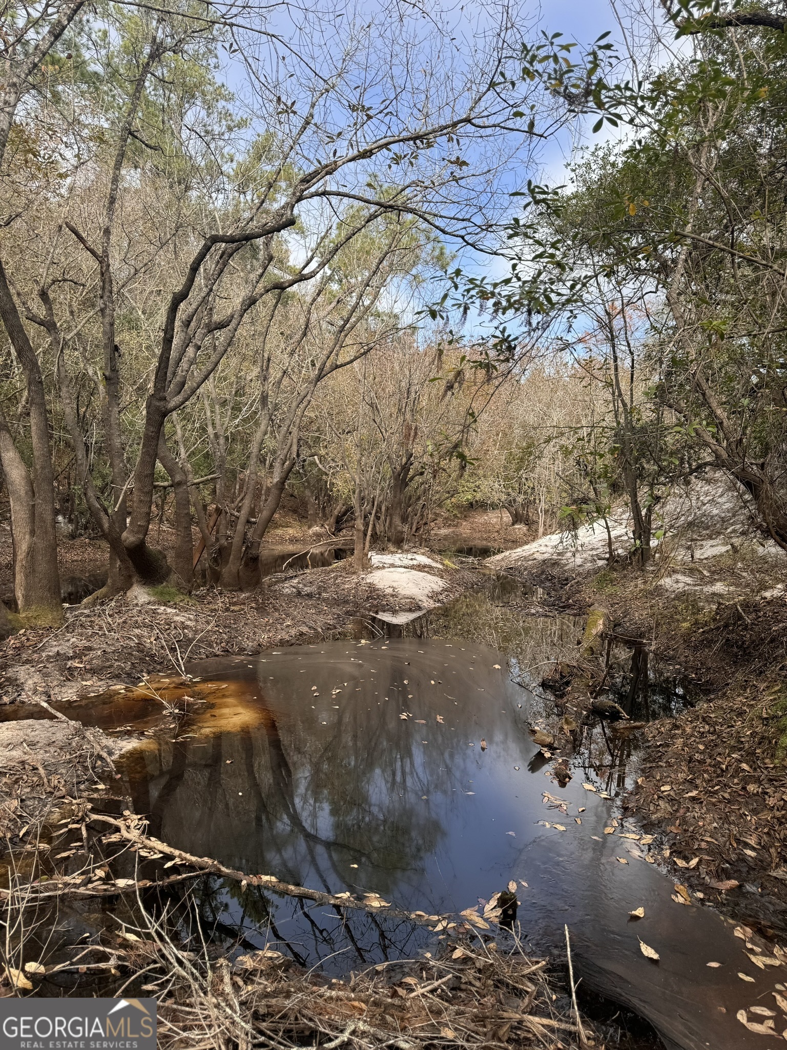 0 State Road 185 St. George, GA 31562 - Photo 45 of 62