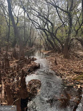 $425,000 | 0 State Road 185, St. George, GA 31562