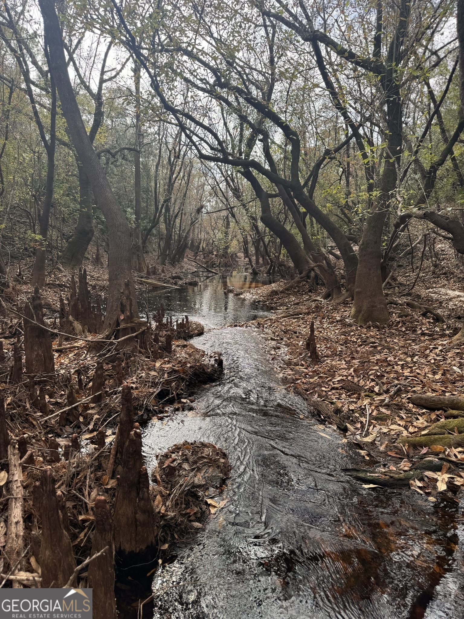 0 State Road 185 St. George, GA 31562 - Photo 46 of 62