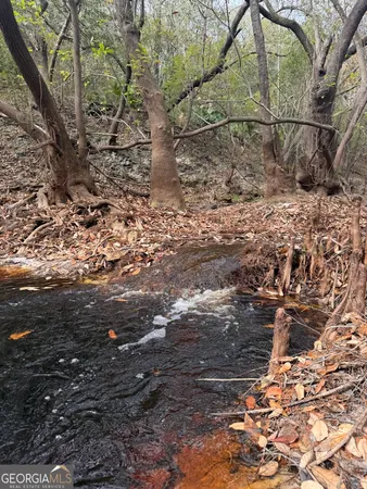 $425,000 | 0 State Road 185, St. George, GA 31562