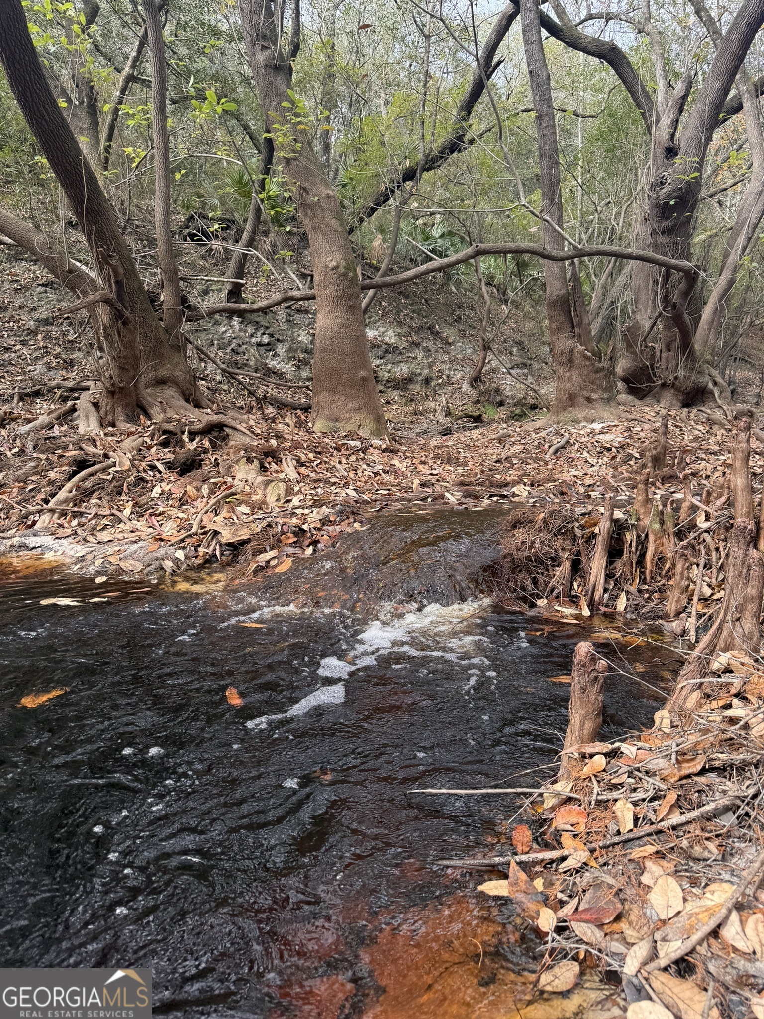 0 State Road 185 St. George, GA 31562 - Photo 47 of 62