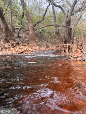 $425,000 | 0 State Road 185, St. George, GA 31562