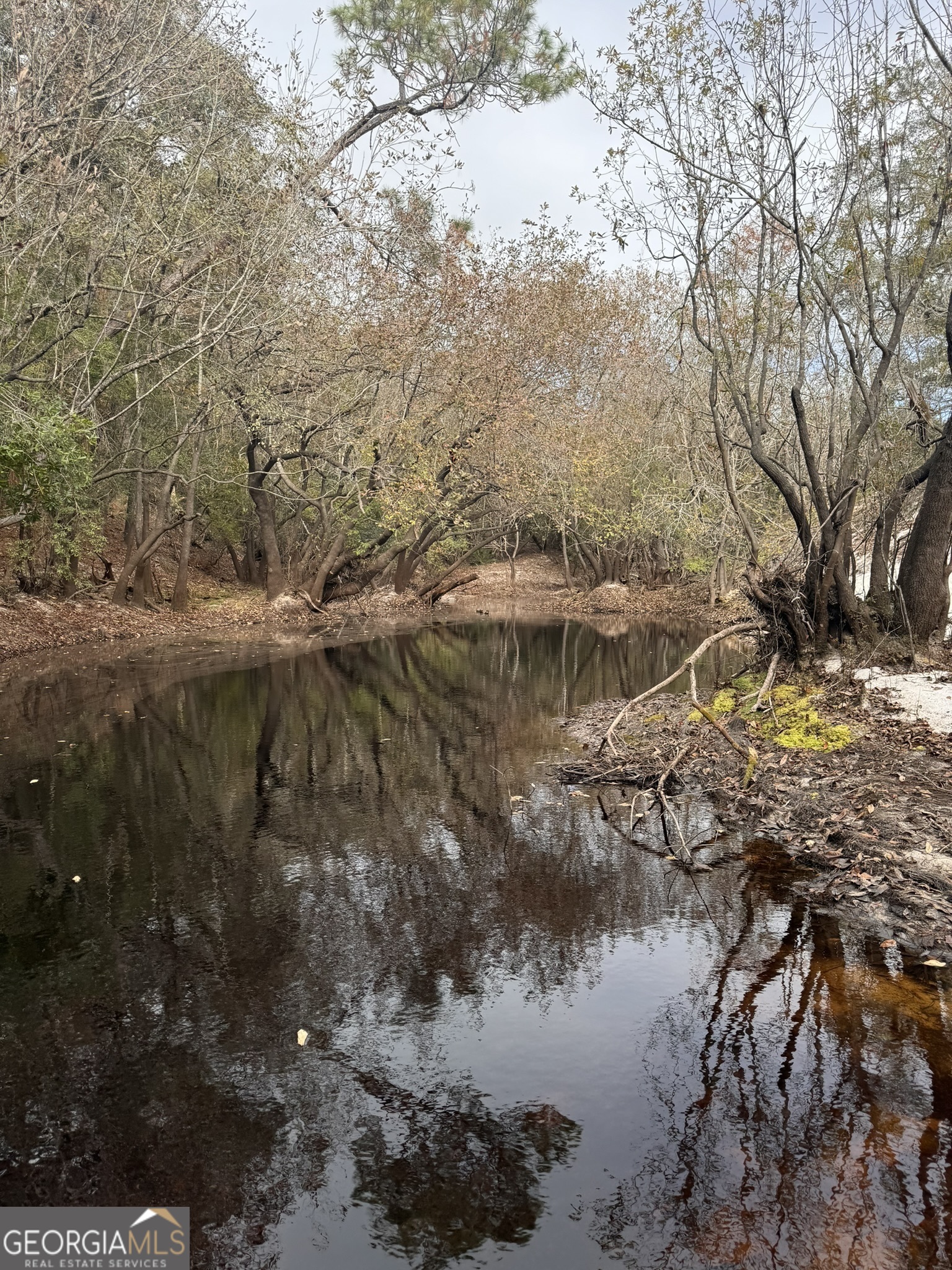 0 State Road 185 St. George, GA 31562 - Photo 49 of 62