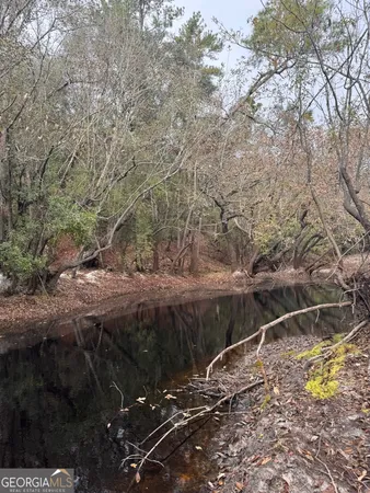 $425,000 | 0 State Road 185, St. George, GA 31562