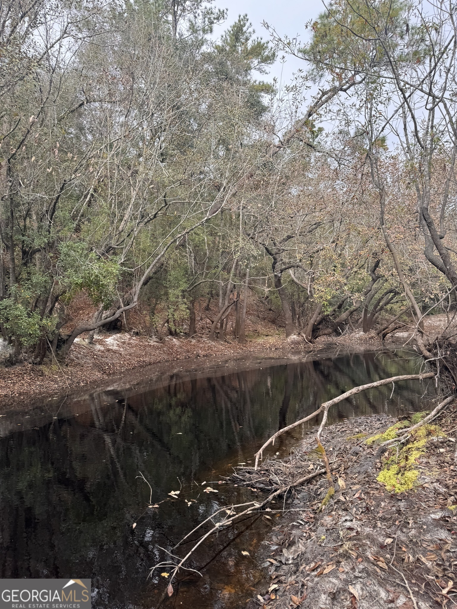 0 State Road 185 St. George, GA 31562 - Photo 50 of 62