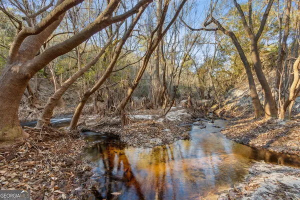 $425,000 | 0 State Road 185, St. George, GA 31562